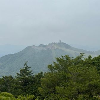 少しすると萩太郎山が見えるように！