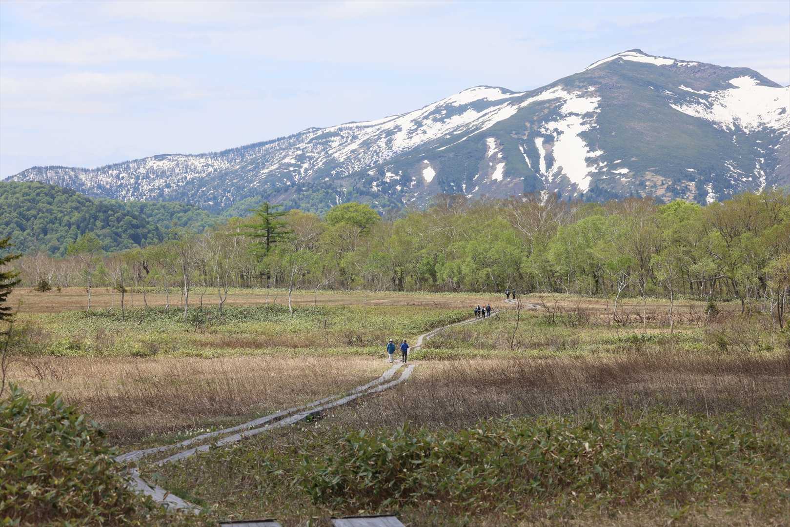 鳩待峠 周回コースの写真