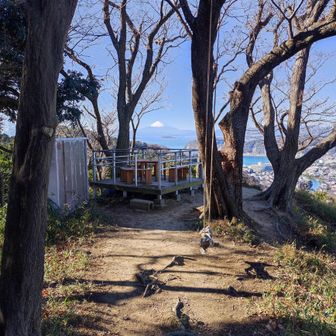 ブランコの先に富士山。