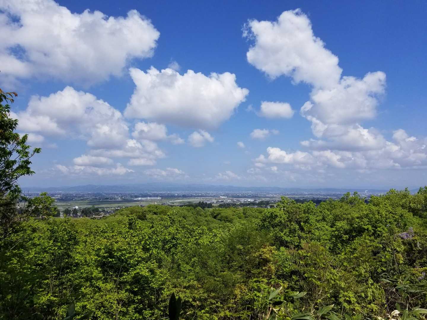 鵯山-天狗山 周回コースの写真