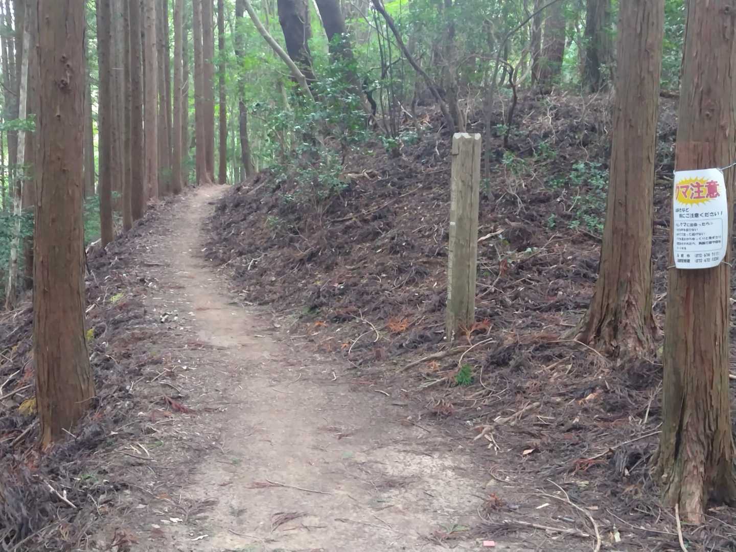 ポンポン山往復 | 初心者から楽しめる、声に出したくなる不思議な山の写真