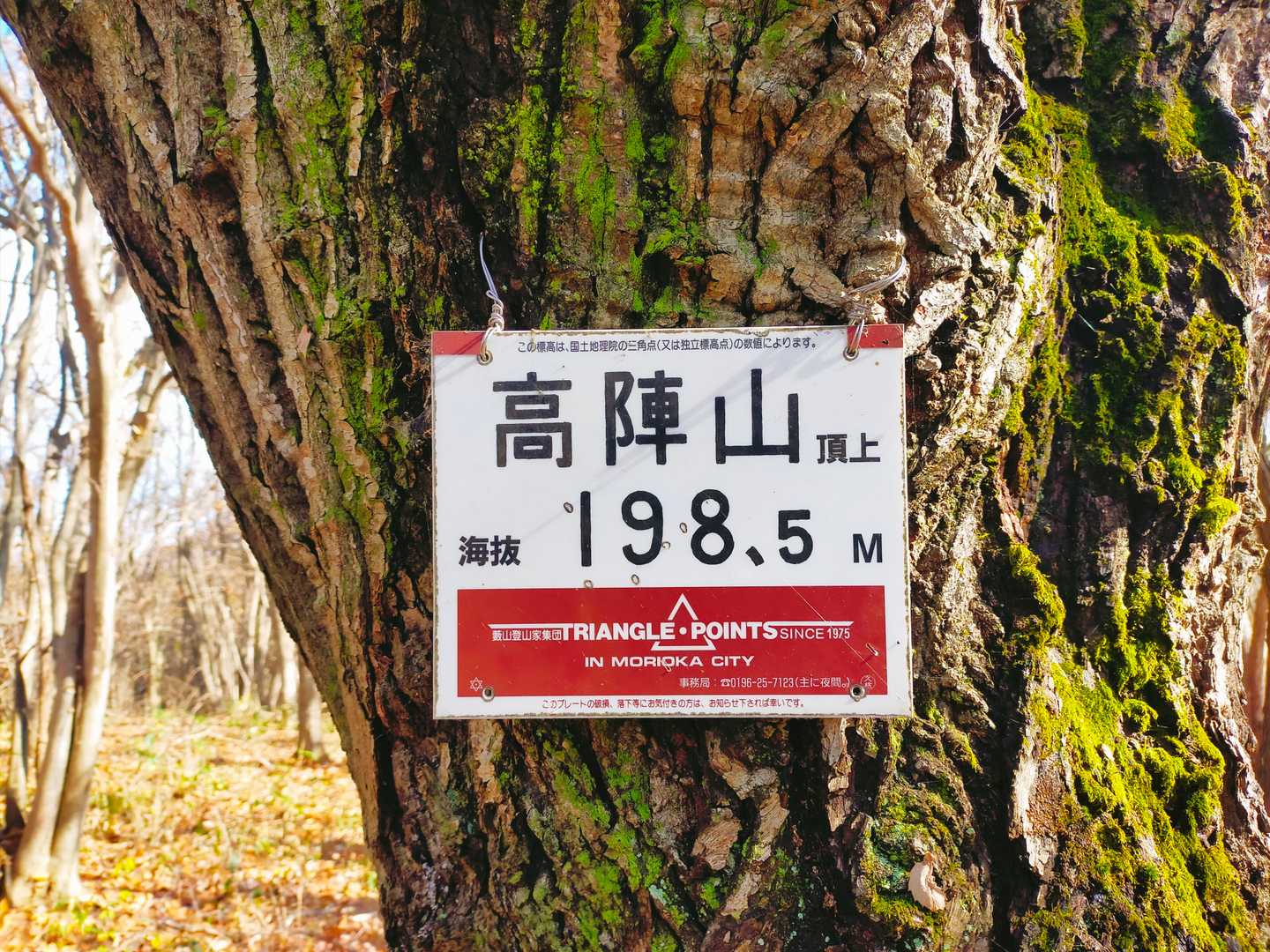 到着❗