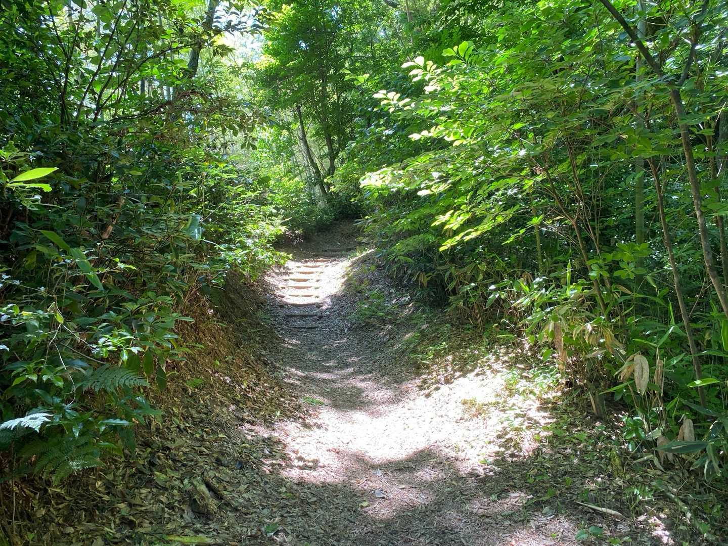 呉羽芝生公園-城山 往復コースの写真