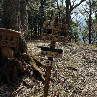 最後の大平山ゲット