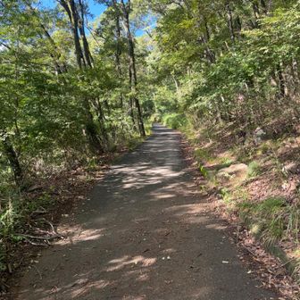湯村山に移動して登山スタート