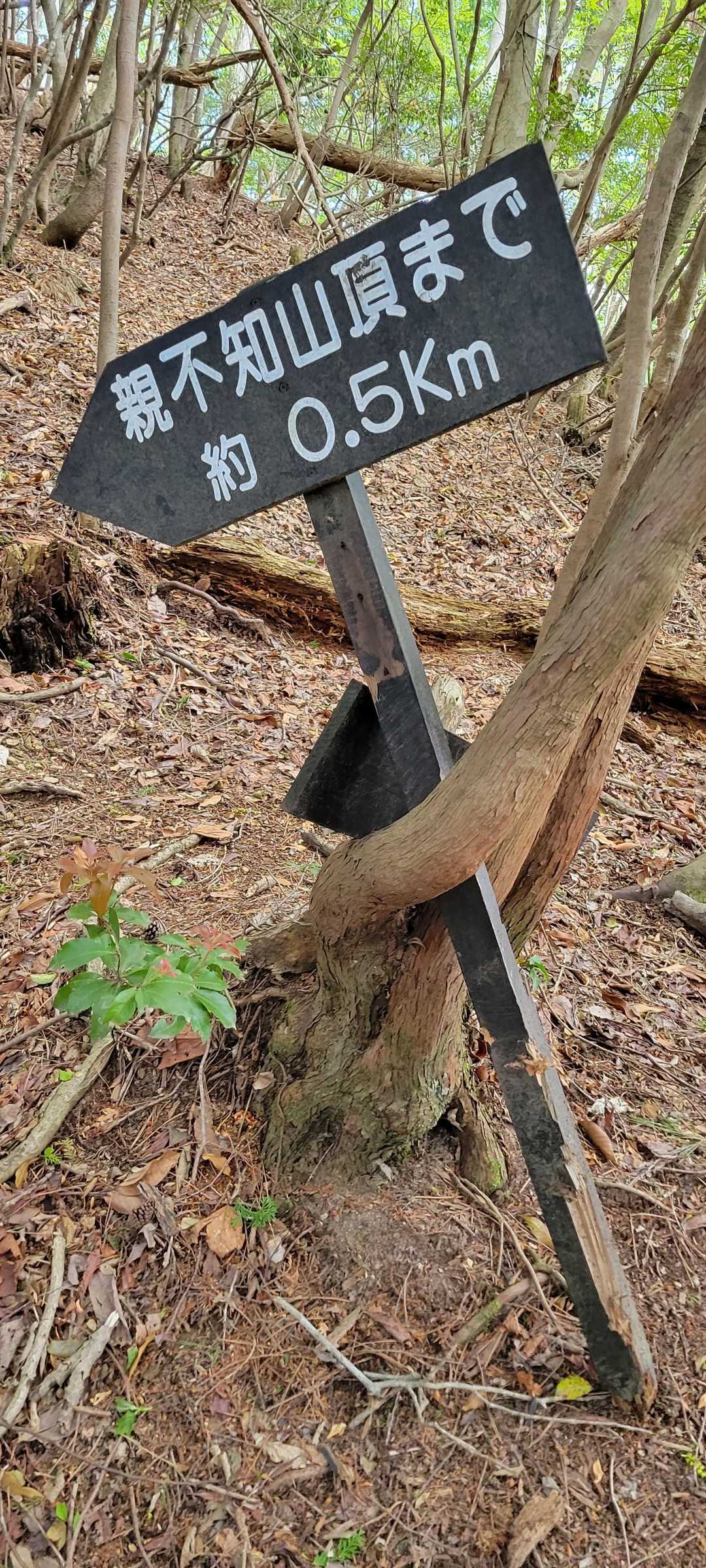親不知 周回コースの写真