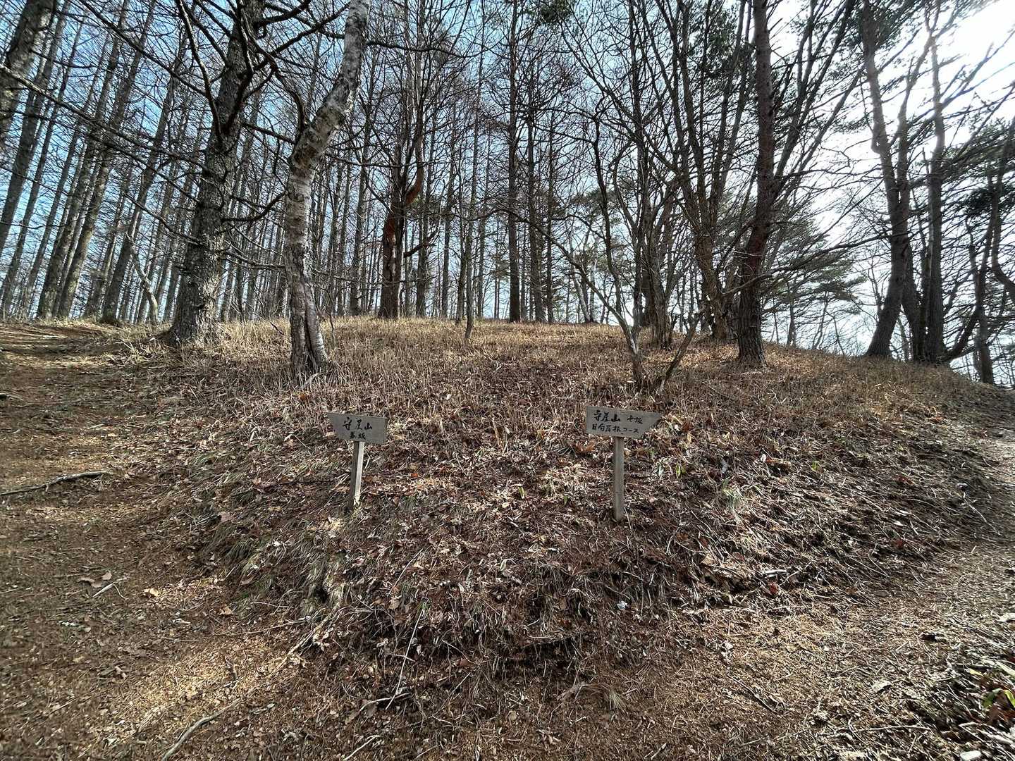 行きは女坂、帰りは男坂を歩きます🚶‍♀️‍➡️
右の道、女坂のがちょっと緩やか😄