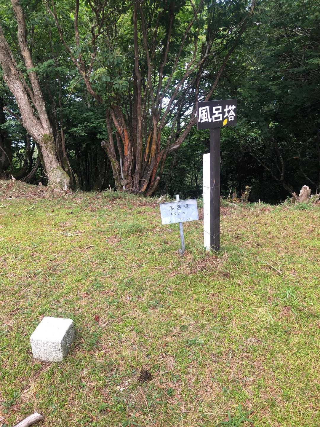 1402m
やっぱり涼しい