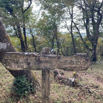 加入道山
ずっと目指してきた最初のピークだけど、看板からして扱いが雑ｗ