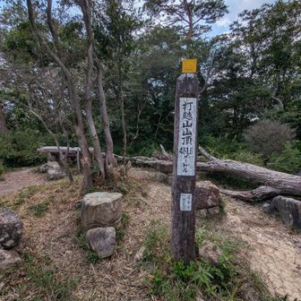 打越山、登頂！