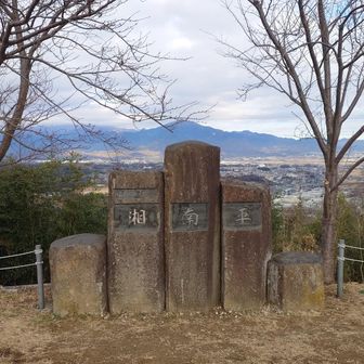 湘南ワンコの夫