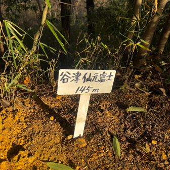 谷津仙元富士...145m