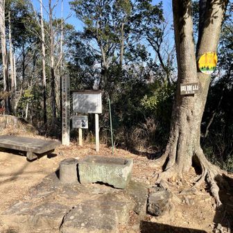 次のピーク、足利城址のある両崖山

2021年に起きた両崖山〜天狗山の山火事被害🔥はまだ記憶に新しいなか、扇山、大倉尾根の鎮火が待たれます😨