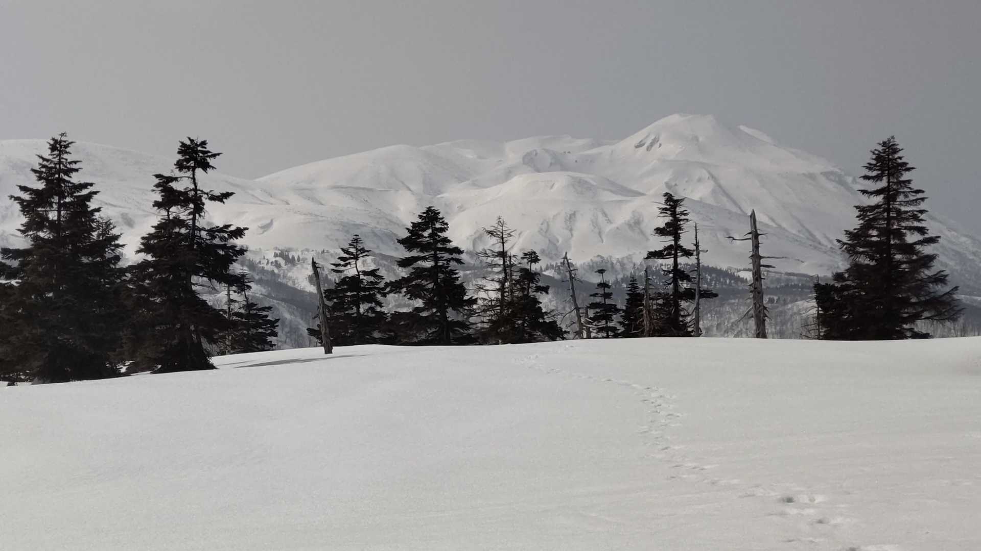 今日は秋田駒ヶ岳も良かったかな
