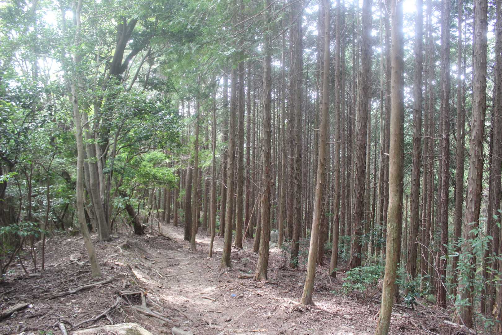 湯野観音岳登山口-湯野観音岳 周回コースの写真