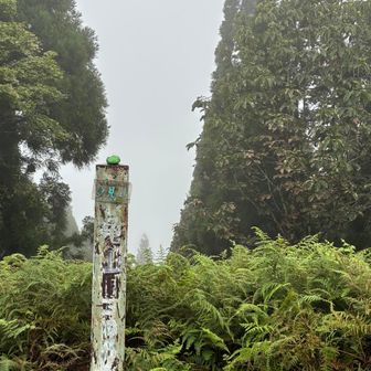ガスガスの山頂⛰️