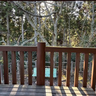 周りの木が防風林になってくれてました。お片付けよ～し。