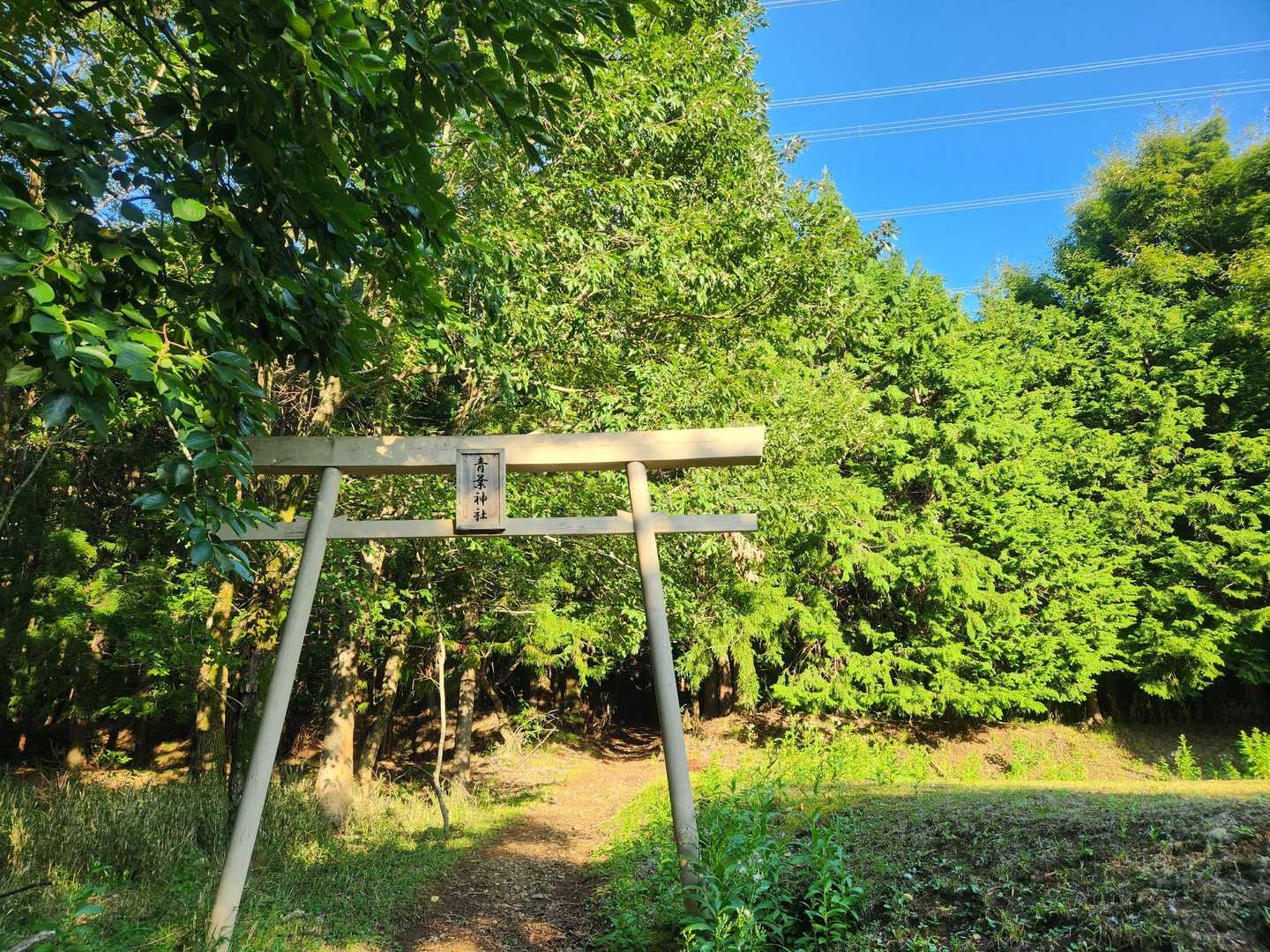 ⛩️を潜り、行ってきまーす🎶