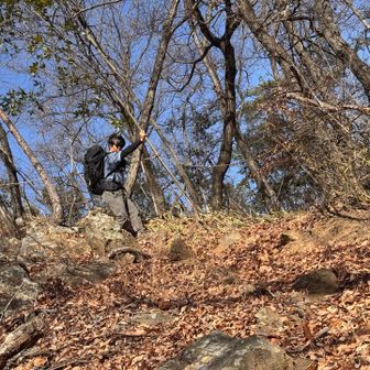 滑りやすい落ち葉の激下り🍂