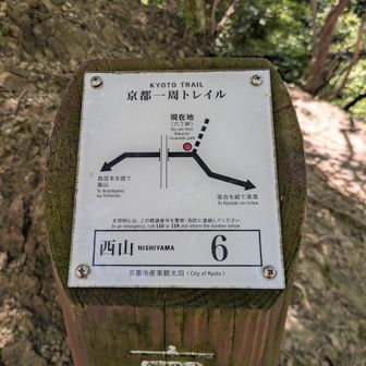 京都トレイルに合流しました