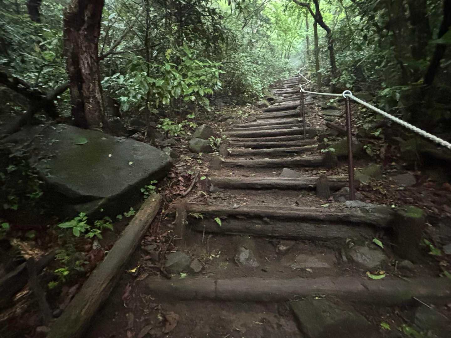 出たー！
階段地獄の始まりです😅