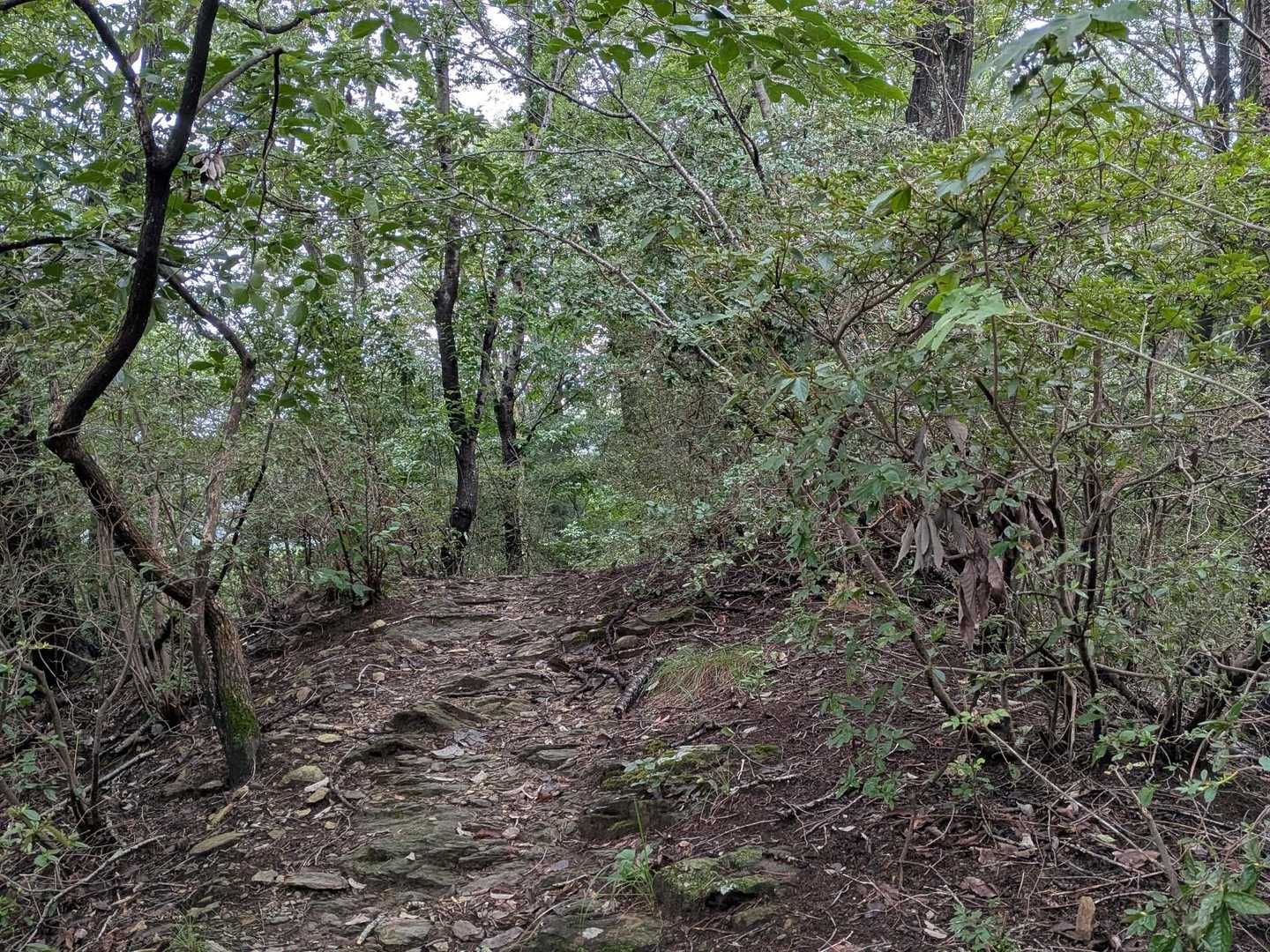 古峯神社の西側ピーク(通称古峯山)