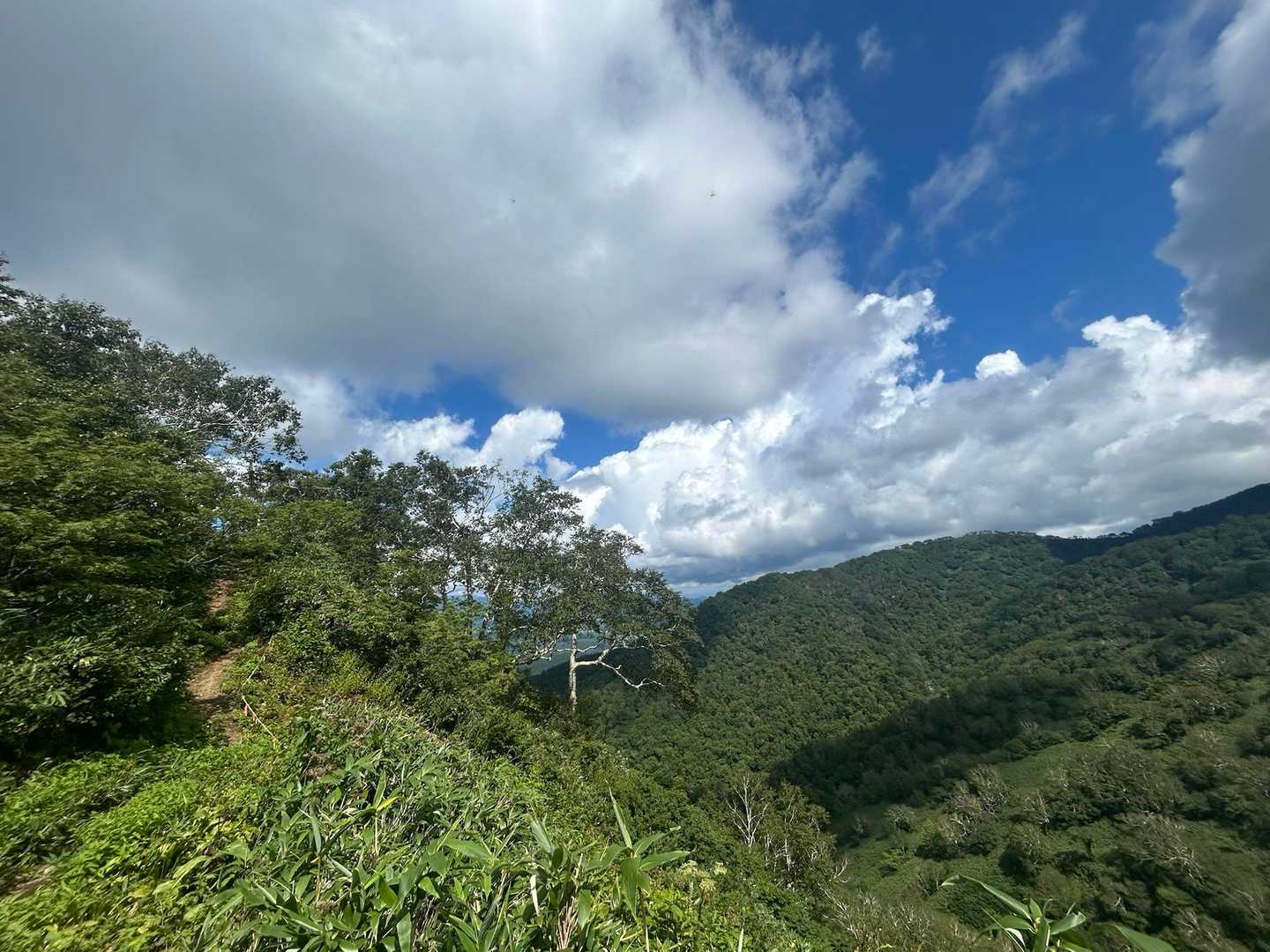 Bコース登山口-神居尻山-開拓台-Cコース登山口 周回コースの写真