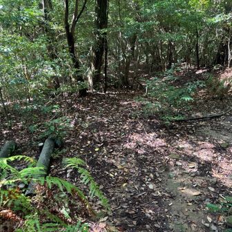 登りは左の階段からきました。ヤマップルートで、直進。