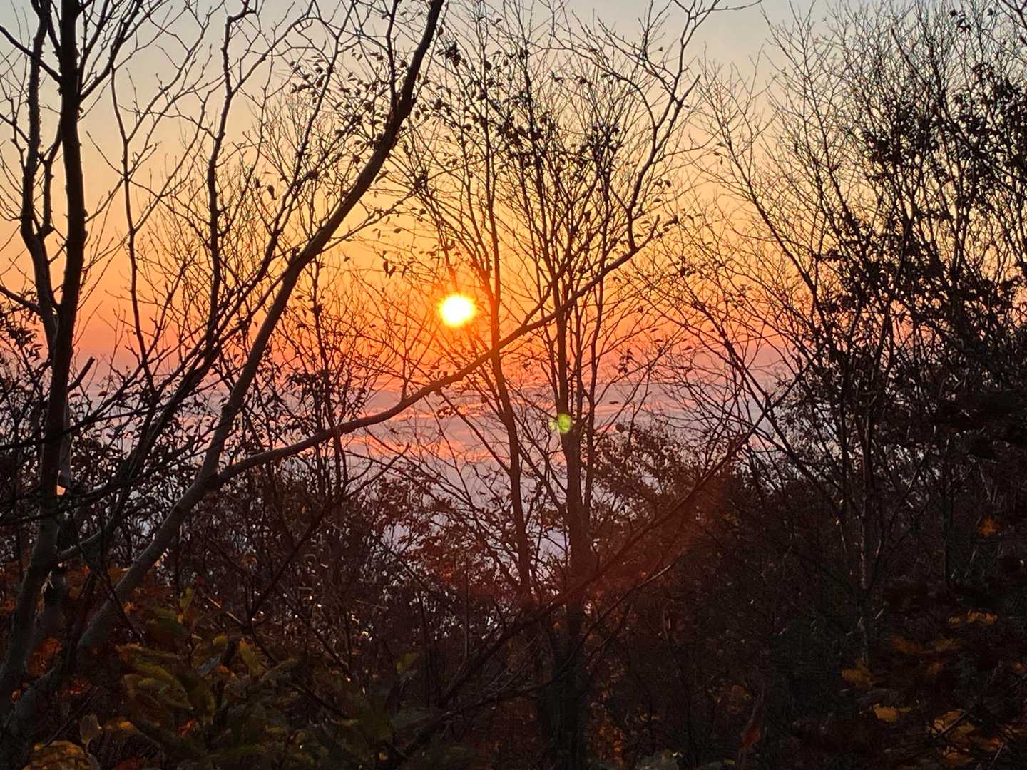 いい天気になりそう☀️