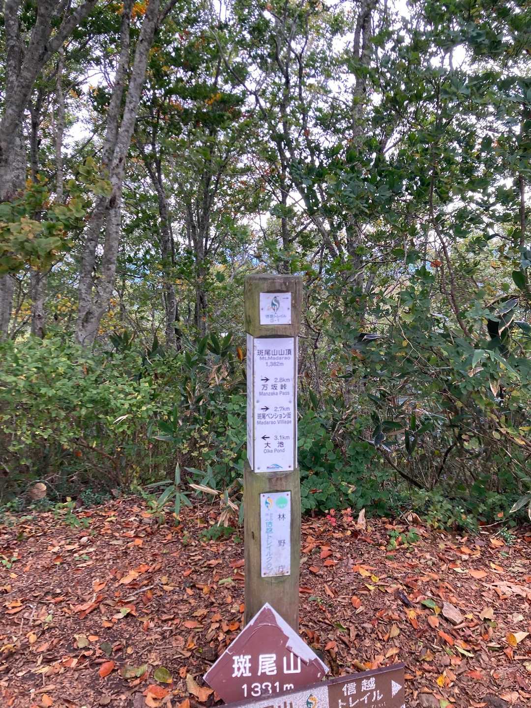 斑尾山、展望はありません