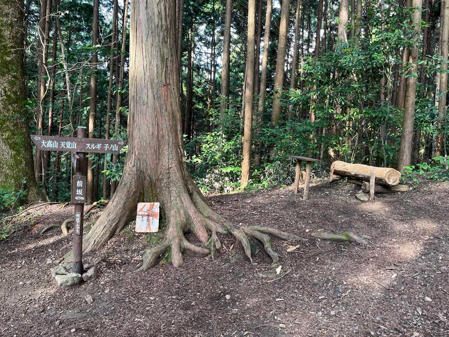 飯能アルプス縦走コースの登山道に合流。
かわいい丸太のベンチとテーブルがあるので、ちょっと休憩🎵

本当はもっと早く来て涼しい時間から歩きたかったのですが、電車の始発に乗ってもこの時間にしか来ることができませんでした。