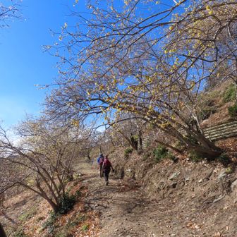 佳い佳い💛冬の散歩道。