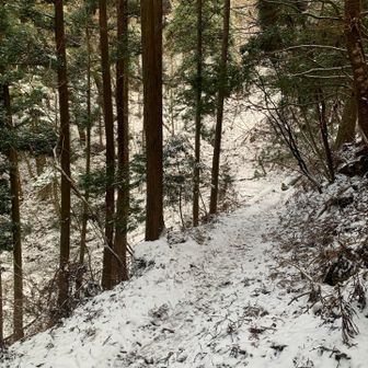 御廟を過ぎ　高野三山目指しました
三山とも小さな祠の中に石像がありました！

雪が降ったあとでしたので
出会ったのはご夫婦らしき二人だけ！

昔の女性たちは雪や雨の中　
展望もない寂しい山道を
急いで行き来したのかと思うとなんともです！


