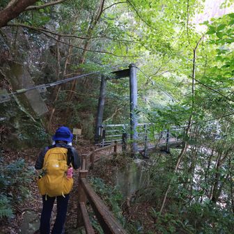 行縢山 滝見橋
二度見するくらいしっかりした作り