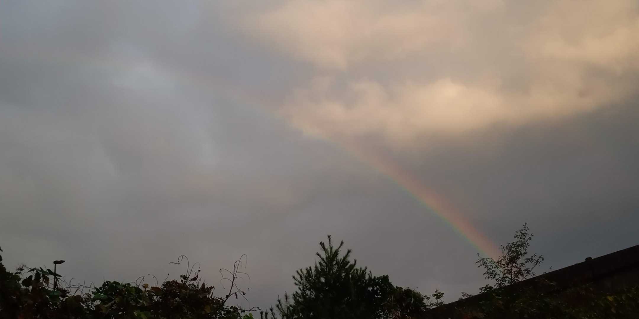イン谷口から雨
かなりきつい
雨具を付け比良駅に向かう
途中で雨が止み
虹🌈です