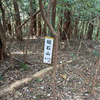 昨日　登り始めた頃いろいろご一緒させて頂いた師匠と高尾で待ち合わせ　カジュアルな身支度でいらして午前中から魚心亭で海鮮丼で🍻3本　そのあと花見🌸でワイン一本からの途中で生ビール🍻
もう登らないのかと思いきや　１号路で高尾山頂ピストン😰からの天狗飯店で🍻楽しかったけど軽く二日酔い😅 https://uoshintei.com/