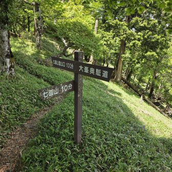 ２つの七面山の鞍部。もう少し