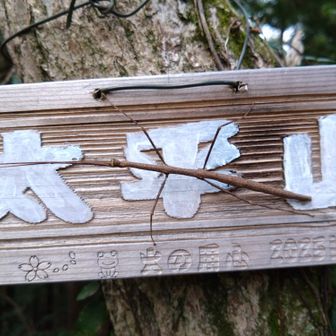 木の枝みたい…
調べたら「ナナフシ」って出た😜
見れるの珍しいみたい🤩