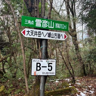 下ったり登ったりしていると、雪彦山の三角点に到着。展望はありませんが、山と渓谷社 日本百低山のスタンプをゲットできます。