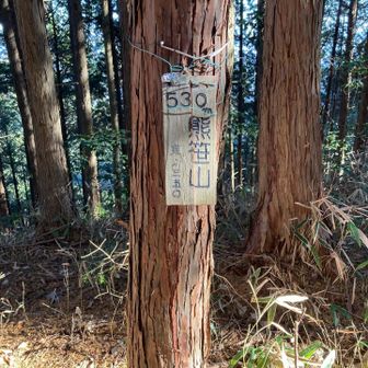 どんどん下るだけかと思いきや、ひと登り