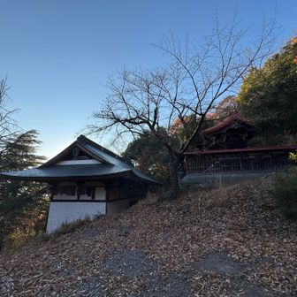 神社出てきた⛩️