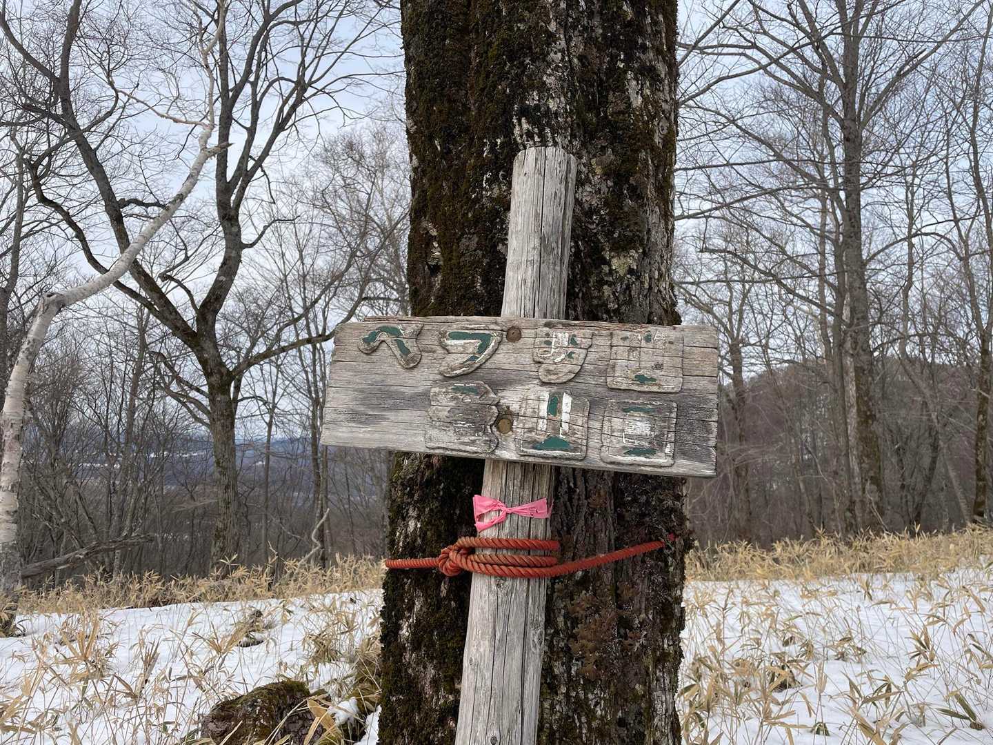 ようやく下ってきたー
ペラリ山登山口って書いてる
逆周りだから終盤だけど😅