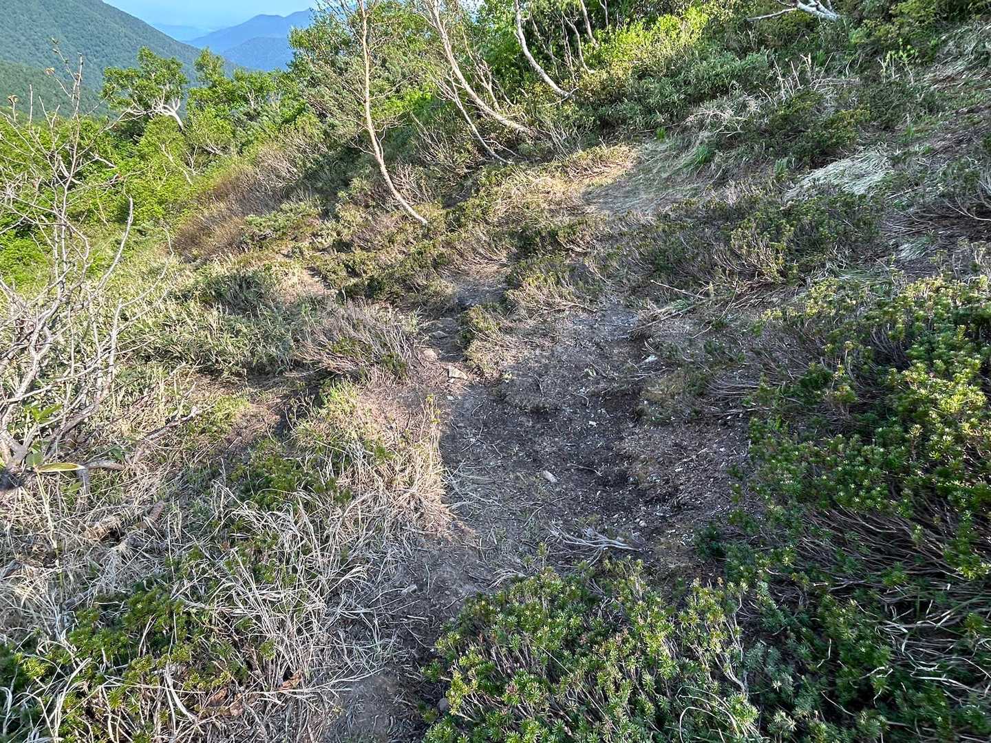 山頂にテント張れなかったらここでビバークだな
