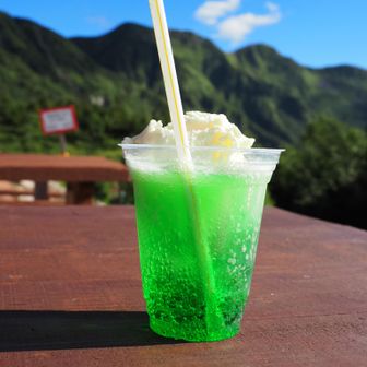 カキ氷の気分でしたがクリームソーダにしました
クリームソーダの💚と山の💚が映える