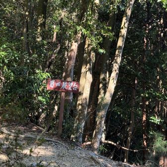 第四展望台からは