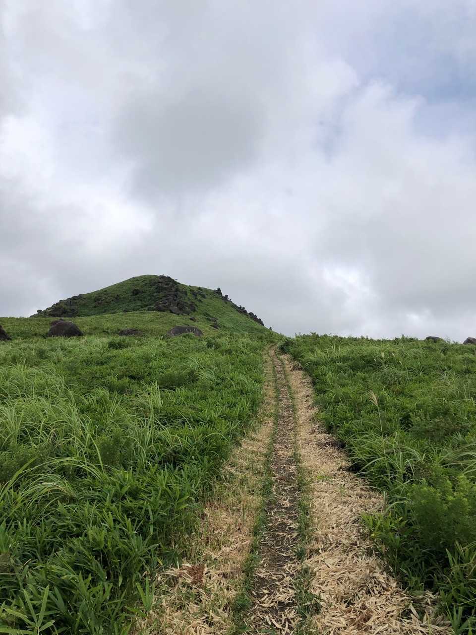 こっちの道じゃなかった…一ノ峯の横をとおりすぎニノ峯側から山頂目指すことに😂