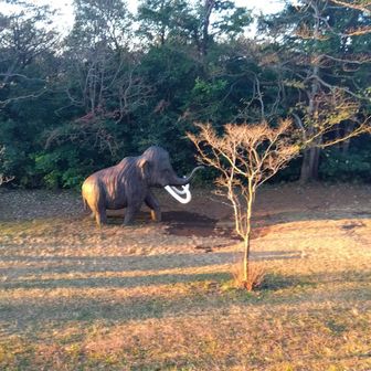 マンモスも⋯