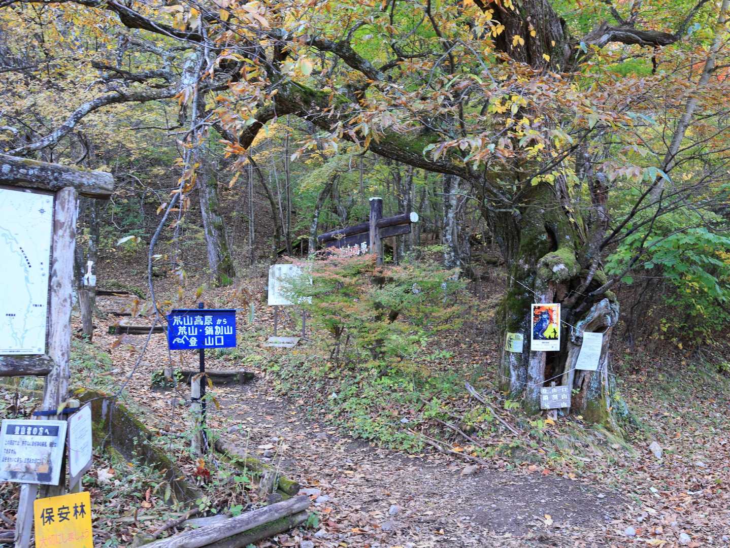 ここからスタート！
青い看板🟦が綺麗✨
山で青い看板は珍しいかも。作りが丁寧で、小さな屋根が付いています。