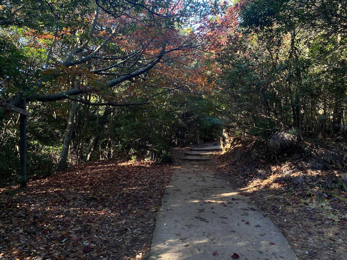 ロープウェイ山頂駅からの道と合流しました。
ロープウェイが動き始めて観光客が押し寄せる前に弥山山頂へ急ぎましょう！笑