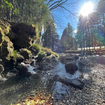 溶岩層からの湧水